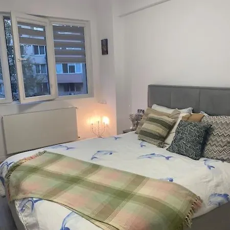 Modern & Cozy *