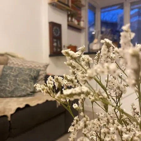 Apartment Modern & Cozy Bukarest