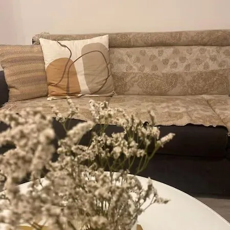 Modern & Cozy